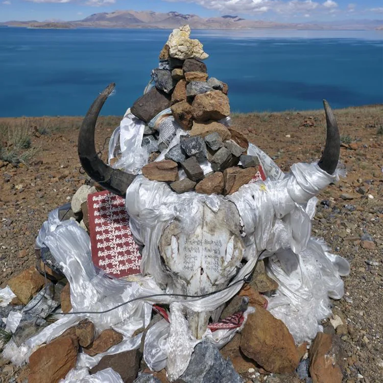image11