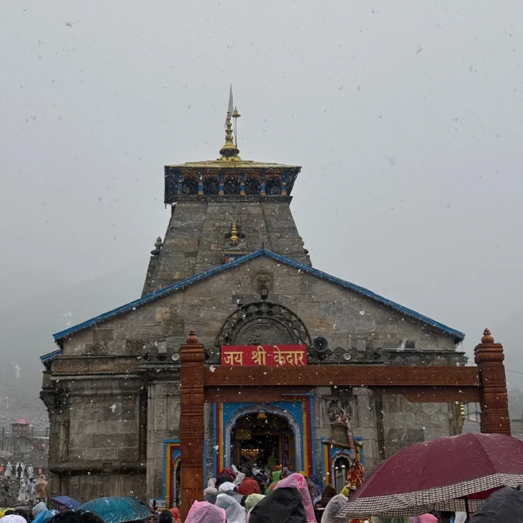 image4