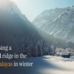 Early winter snow on a Himalayan trekking trail in December
