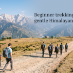 Beginner trekking group on a gentle Himalayan forest trail